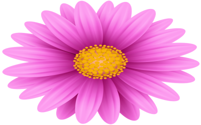 67c56120e6fcd-4550.png